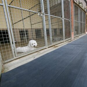 Ribbed black mat in a dog kennel corridor
